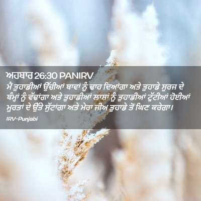 Picture 02 - ਅਹਬਾਰ 26:30 PANIRV - ਮੈਂ ਤੁਹਾਡੀਆਂ - Bible Verse Picture