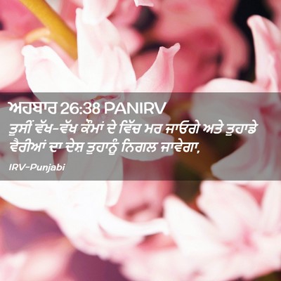 Picture 02 - ਅਹਬਾਰ 26:38 PANIRV - ਤੁਸੀਂ ਵੱਖ-ਵੱਖ - Bible Verse Picture