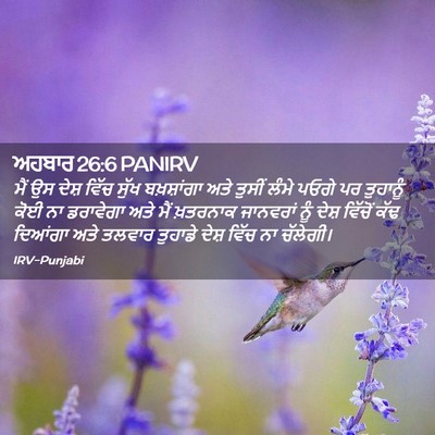 Picture 02 - ਅਹਬਾਰ 26:6 PANIRV - ਮੈਂ ਉਸ ਦੇਸ਼ ਵਿੱਚ - Bible Verse Picture