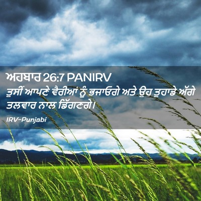 Picture 02 - ਅਹਬਾਰ 26:7 PANIRV - ਤੁਸੀਂ ਆਪਣੇ ਵੈਰੀਆਂ - Bible Verse Picture