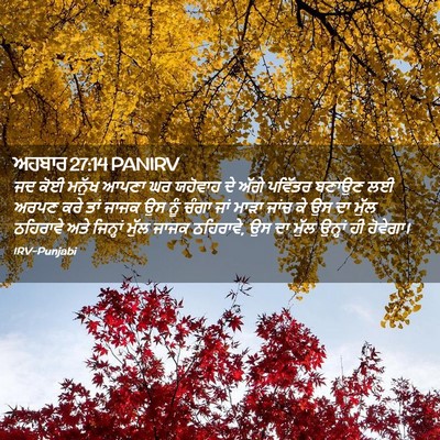 Picture 02 - ਅਹਬਾਰ 27:14 PANIRV - ਜਦ ਕੋਈ ਮਨੁੱਖ ਆਪਣਾ - Bible Verse Picture