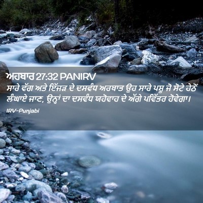 Picture 02 - ਅਹਬਾਰ 27:32 PANIRV - ਸਾਰੇ ਵੱਗ ਅਤੇ ਇੱਜੜ - Bible Verse Picture