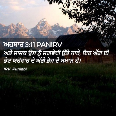Picture 02 - ਅਹਬਾਰ 3:11 PANIRV - ਅਤੇ ਜਾਜਕ ਉਸ ਨੂੰ - Bible Verse Picture