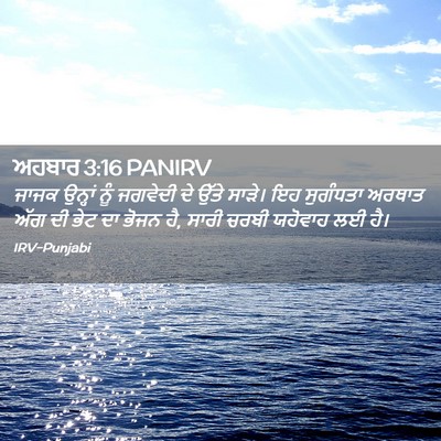 Picture 02 - ਅਹਬਾਰ 3:16 PANIRV - ਜਾਜਕ ਉਨ੍ਹਾਂ ਨੂੰ - Bible Verse Picture