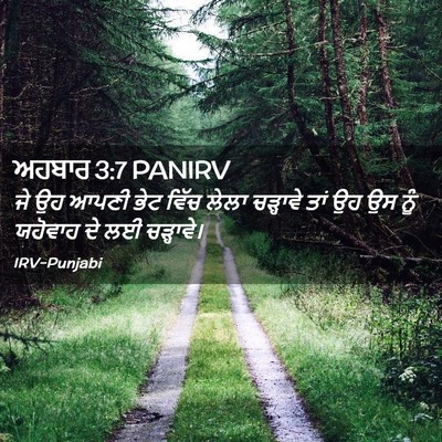 Picture 02 - ਅਹਬਾਰ 3:7 PANIRV - ਜੇ ਉਹ ਆਪਣੀ ਭੇਟ ਵਿੱਚ - Bible Verse Picture