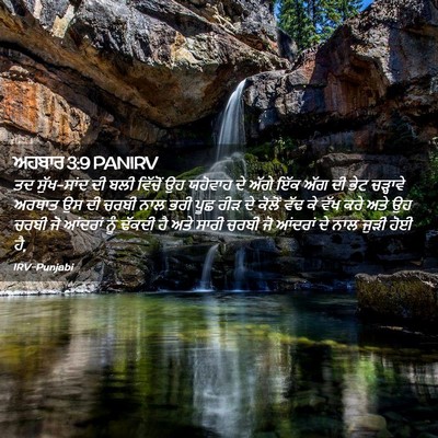 Picture 02 - ਅਹਬਾਰ 3:9 PANIRV - ਤਦ ਸੁੱਖ-ਸਾਂਦ ਦੀ ਬਲੀ - Bible Verse Picture