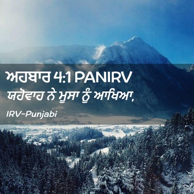 Picture 02 - ਅਹਬਾਰ 4:1 PANIRV - ਯਹੋਵਾਹ ਨੇ ਮੂਸਾ ਨੂੰ - Bible Verse Picture