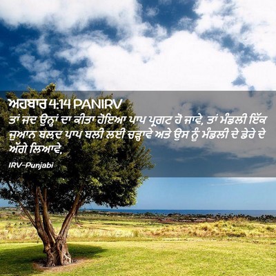 Picture 02 - ਅਹਬਾਰ 4:14 PANIRV - ਤਾਂ ਜਦ ਉਨ੍ਹਾਂ ਦਾ - Bible Verse Picture