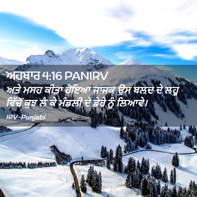 Picture 02 - ਅਹਬਾਰ 4:16 PANIRV - ਅਤੇ ਮਸਹ ਕੀਤਾ ਹੋਇਆ - Bible Verse Picture