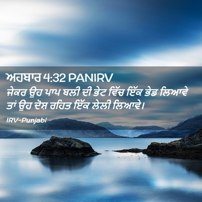 Picture 02 - ਅਹਬਾਰ 4:32 PANIRV - ਜੇਕਰ ਉਹ ਪਾਪ ਬਲੀ ਦੀ - Bible Verse Picture