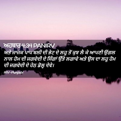 Picture 02 - ਅਹਬਾਰ 4:34 PANIRV - ਅਤੇ ਜਾਜਕ ਪਾਪ ਬਲੀ ਦੀ - Bible Verse Picture