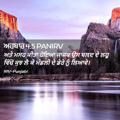 Picture 02 - ਅਹਬਾਰ 4:5 PANIRV - ਅਤੇ ਮਸਹ ਕੀਤਾ ਹੋਇਆ - Bible Verse Picture