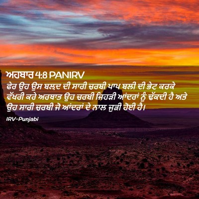 Picture 02 - ਅਹਬਾਰ 4:8 PANIRV - ਫੇਰ ਉਹ ਉਸ ਬਲ਼ਦ ਦੀ - Bible Verse Picture
