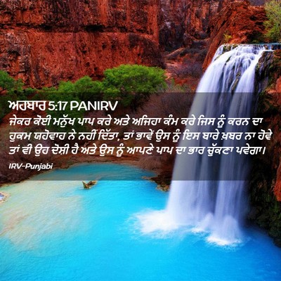 Picture 02 - ਅਹਬਾਰ 5:17 PANIRV - ਜੇਕਰ ਕੋਈ ਮਨੁੱਖ ਪਾਪ - Bible Verse Picture