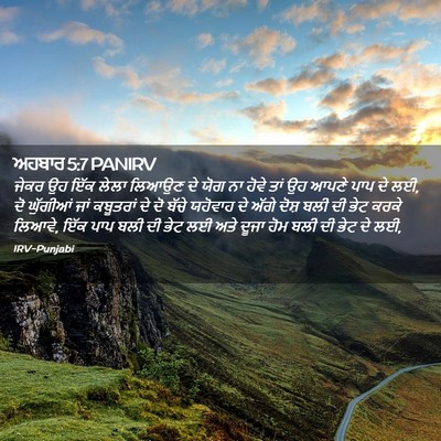 Picture 02 - ਅਹਬਾਰ 5:7 PANIRV - ਜੇਕਰ ਉਹ ਇੱਕ ਲੇਲਾ - Bible Verse Picture