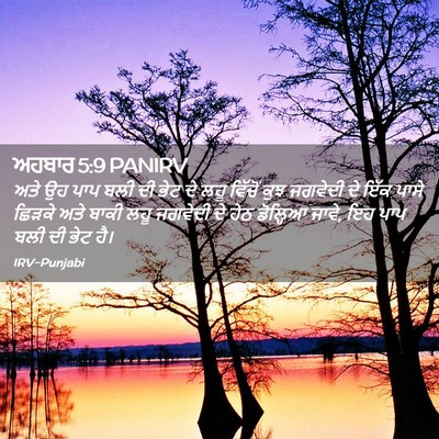 Picture 02 - ਅਹਬਾਰ 5:9 PANIRV - ਅਤੇ ਉਹ ਪਾਪ ਬਲੀ ਦੀ - Bible Verse Picture