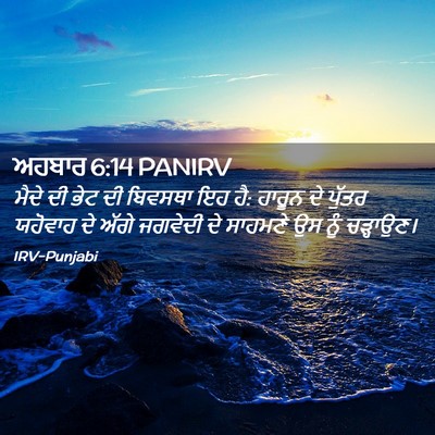 Picture 02 - ਅਹਬਾਰ 6:14 PANIRV - ਮੈਦੇ ਦੀ ਭੇਟ ਦੀ - Bible Verse Picture