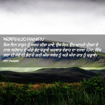 Picture 02 - ਅਹਬਾਰ 6:20 PANIRV - ਜਿਸ ਦਿਨ ਹਾਰੂਨ ਨੂੰ - Bible Verse Picture