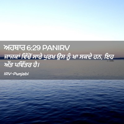 Picture 02 - ਅਹਬਾਰ 6:29 PANIRV - ਜਾਜਕਾਂ ਵਿੱਚੋਂ - Bible Verse Picture