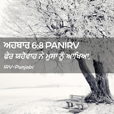Picture 02 - ਅਹਬਾਰ 6:8 PANIRV - ਫੇਰ ਯਹੋਵਾਹ ਨੇ ਮੂਸਾ - Bible Verse Picture