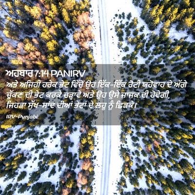 Picture 02 - ਅਹਬਾਰ 7:14 PANIRV - ਅਤੇ ਅਜਿਹੀ ਹਰੇਕ ਭੇਟ - Bible Verse Picture