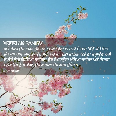 Picture 02 - ਅਹਬਾਰ 7:18 PANIRV - ਅਤੇ ਜੇਕਰ ਉਸ ਦੀਆਂ - Bible Verse Picture