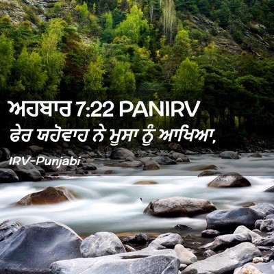 Picture 02 - ਅਹਬਾਰ 7:22 PANIRV - ਫੇਰ ਯਹੋਵਾਹ ਨੇ ਮੂਸਾ - Bible Verse Picture