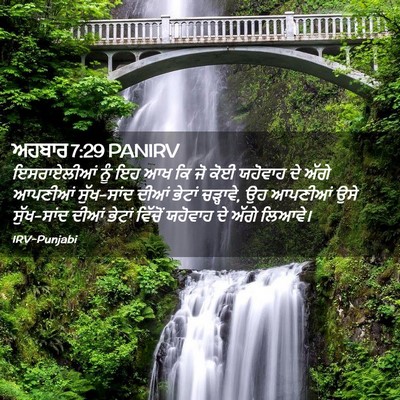 Picture 02 - ਅਹਬਾਰ 7:29 PANIRV - ਇਸਰਾਏਲੀਆਂ ਨੂੰ ਇਹ - Bible Verse Picture