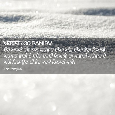Picture 02 - ਅਹਬਾਰ 7:30 PANIRV - ਉਹ ਆਪਣੇ ਹੱਥ ਨਾਲ - Bible Verse Picture
