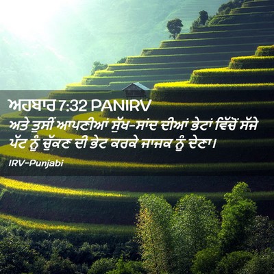 Picture 02 - ਅਹਬਾਰ 7:32 PANIRV - ਅਤੇ ਤੁਸੀਂ ਆਪਣੀਆਂ - Bible Verse Picture