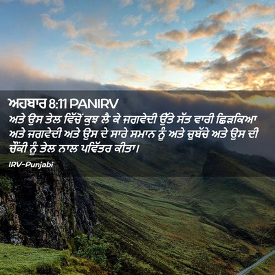 Picture 02 - ਅਹਬਾਰ 8:11 PANIRV - ਅਤੇ ਉਸ ਤੇਲ ਵਿੱਚੋਂ - Bible Verse Picture