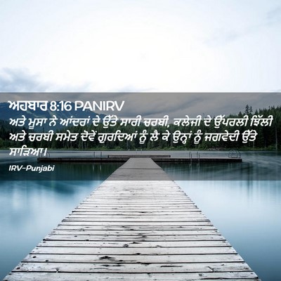 Picture 02 - ਅਹਬਾਰ 8:16 PANIRV - ਅਤੇ ਮੂਸਾ ਨੇ ਆਂਦਰਾਂ - Bible Verse Picture