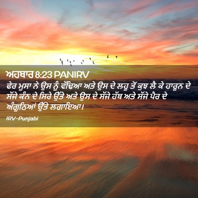 Picture 02 - ਅਹਬਾਰ 8:23 PANIRV - ਫੇਰ ਮੂਸਾ ਨੇ ਉਸ ਨੂੰ - Bible Verse Picture