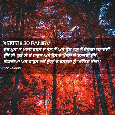 Picture 02 - ਅਹਬਾਰ 8:30 PANIRV - ਫੇਰ ਮੂਸਾ ਨੇ ਮਸਹ ਕਰਨ - Bible Verse Picture