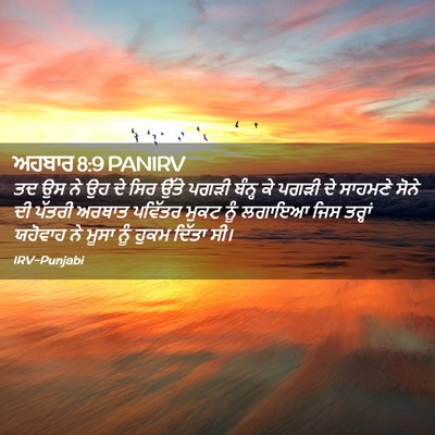 Picture 02 - ਅਹਬਾਰ 8:9 PANIRV - ਤਦ ਉਸ ਨੇ ਉਹ ਦੇ ਸਿਰ - Bible Verse Picture