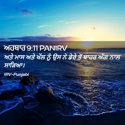 Picture 02 - ਅਹਬਾਰ 9:11 PANIRV - ਅਤੇ ਮਾਸ ਅਤੇ ਖੱਲ ਨੂੰ - Bible Verse Picture