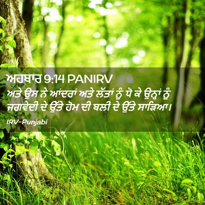 Picture 02 - ਅਹਬਾਰ 9:14 PANIRV - ਅਤੇ ਉਸ ਨੇ ਆਂਦਰਾਂ - Bible Verse Picture
