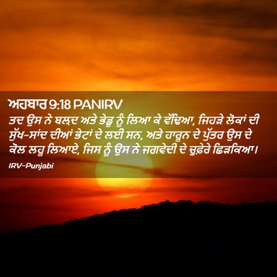 Picture 02 - ਅਹਬਾਰ 9:18 PANIRV - ਤਦ ਉਸ ਨੇ ਬਲ਼ਦ ਅਤੇ - Bible Verse Picture