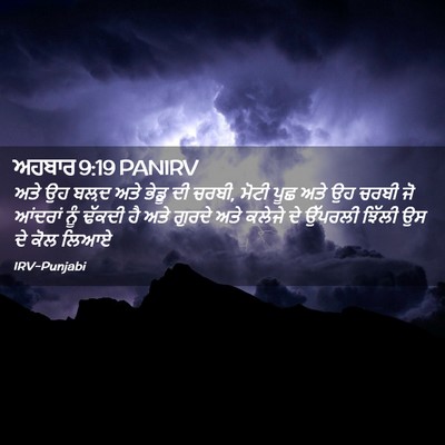 Picture 02 - ਅਹਬਾਰ 9:19 PANIRV - ਅਤੇ ਉਹ ਬਲ਼ਦ ਅਤੇ - Bible Verse Picture