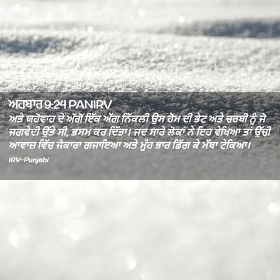 Picture 02 - ਅਹਬਾਰ 9:24 PANIRV - ਅਤੇ ਯਹੋਵਾਹ ਦੇ - Bible Verse Picture