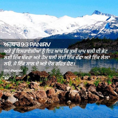 Picture 02 - ਅਹਬਾਰ 9:3 PANIRV - ਅਤੇ ਤੂੰ ਇਸਰਾਏਲੀਆਂ - Bible Verse Picture