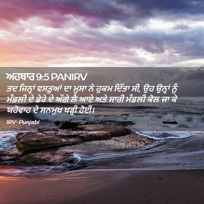 Picture 02 - ਅਹਬਾਰ 9:5 PANIRV - ਤਦ ਜਿਨ੍ਹਾਂ ਵਸਤੂਆਂ - Bible Verse Picture