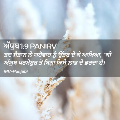 Picture 02 - ਅੱਯੂਬ 1:9 PANIRV - ਤਦ ਸ਼ੈਤਾਨ ਨੇ - Bible Verse Picture