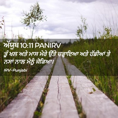 Picture 02 - ਅੱਯੂਬ 10:11 PANIRV - ਤੂੰ ਖਲ ਅਤੇ ਮਾਸ ਮੇਰੇ - Bible Verse Picture