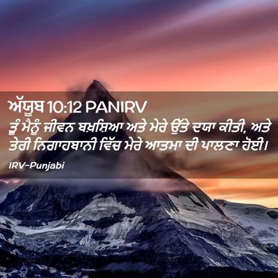Picture 02 - ਅੱਯੂਬ 10:12 PANIRV - ਤੂੰ ਮੈਨੂੰ ਜੀਵਨ - Bible Verse Picture