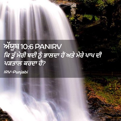 Picture 02 - ਅੱਯੂਬ 10:6 PANIRV - ਕਿ ਤੂੰ ਮੇਰੀ ਬਦੀ ਨੂੰ - Bible Verse Picture