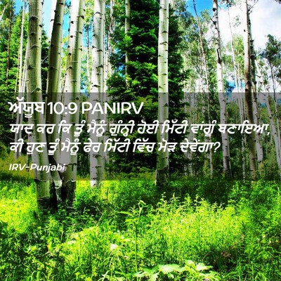 Picture 02 - ਅੱਯੂਬ 10:9 PANIRV - ਯਾਦ ਕਰ ਕਿ ਤੂੰ ਮੈਨੂੰ - Bible Verse Picture