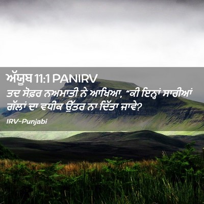 Picture 02 - ਅੱਯੂਬ 11:1 PANIRV - ਤਦ ਸੋਫ਼ਰ ਨਅਮਾਤੀ ਨੇ - Bible Verse Picture