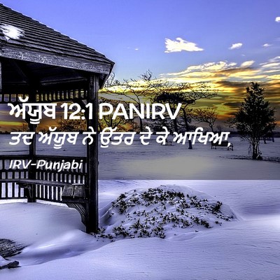 Picture 02 - ਅੱਯੂਬ 12:1 PANIRV - ਤਦ ਅੱਯੂਬ ਨੇ ਉੱਤਰ ਦੇ - Bible Verse Picture