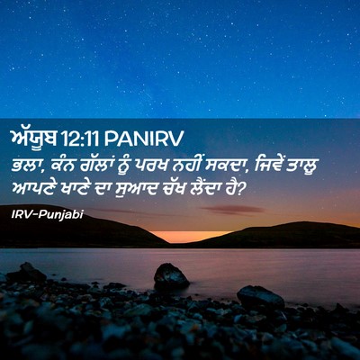Picture 02 - ਅੱਯੂਬ 12:11 PANIRV - ਭਲਾ, ਕੰਨ ਗੱਲਾਂ ਨੂੰ - Bible Verse Picture